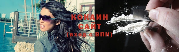 амф Богданович