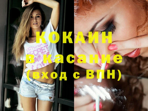 apvp Бородино