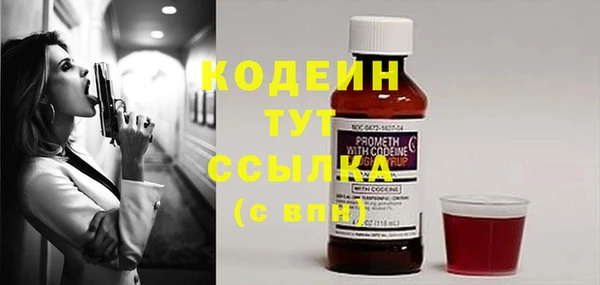 apvp Бородино