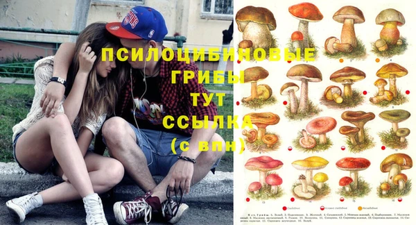 хмурый Богородицк