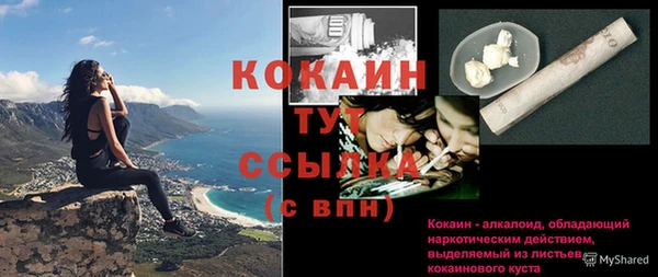 сатива Бугульма