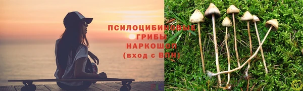 apvp Бородино